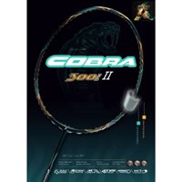 Vợt cầu lông ExThree Cobra 300i II (Chính hãng)