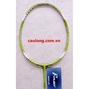 Vợt cầu lông Fleet Ahanken FBR-100