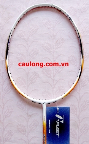 Vợt cầu lông Fleet Max Power 301