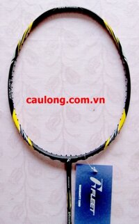 Vợt Cầu Lông Fleet Vision Force