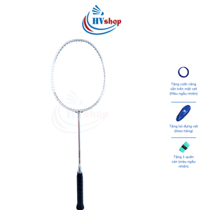 Vợt cầu lông Proace Stroke 318