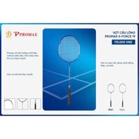VỢT CẦU LÔNG PROMAX X-FORCE 19 - cặp