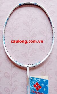 Vợt Cầu Lông Tenway Nano Frame 600
