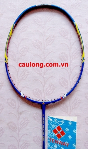 Vợt cầu lông Tenway Nano Master 990