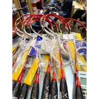 Vợt càu lông Victor BS 66