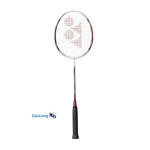 Vợt cầu lông Yonex ARC D19