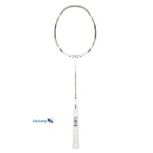 Vợt Cầu Lông Yonex Arcsaber 100