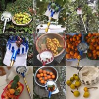 Vợt hái trái cây trên cao cán tăng đơ sào rút inox đa năng,móc cành cây,phơi quần áo,cán vợt cá,cọc mác màn,lau chùi