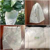 VTLN - 100 TÚI BAO TRÁI 30x35 - LƯỚI MÙNG - DÂY RÚT - TÚI BAO BƯỞI DA XANH TIỆN LỢI