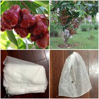 VTLN - 100 TÚI BAO TRÁI 30x35 - LƯỚI MÙNG - DÂY RÚT - TÚI BỌC MẬN TRÁI LỚN