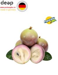 Vú sữa Bơ Hồng (1Kg) DEEP41 www.yeuhangduc.vn sẵn sàng cho bạn