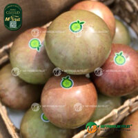 Vú Sữa Bơ Hồng | Cần Thơ Fruit