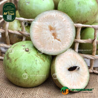 Vú Sữa Bơ Hồng | Densuke Farm