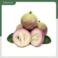 Vú Sữa Bơ Hồng