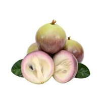 Vú sữa Bơ Hồng