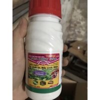 Vua diệt sâu 500SC trừ rầy xanh, nhện đỏ, bọ cánh tơ