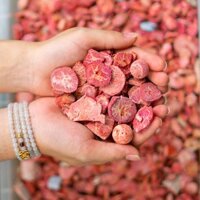 Vụn San Hô Đỏ 1A 004-0681A-13