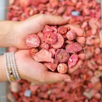 Vụn San Hô Đỏ Tự Nhiên - M2374