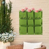 Vườn Cây Treo Tường Làm Vườn Sân Trang Trí Văn Phòng Cây Trồng Túi