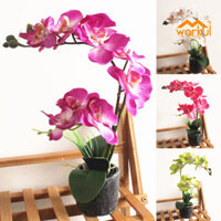 Warkul Nhân Tạo Phalaenopsis Hoa Giả Cây Cảnh Văn Phòng Tại Nhà Cửa Hàng Cafe Trang Trí