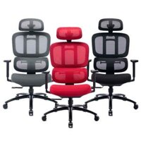 Warrior Hero Series WEC509 Ergonomic Chair