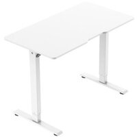WARRIOR Paladin Series WGT604 White – Electric Height Adjustable Standing Desk
