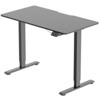 WARRIOR Paladin Series WGT604 Black – Electric Height Adjustable Standing Desk