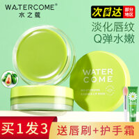 Water Cocos Lip Mask Tinh chất dưỡng ẩm bơ Làm mờ nếp nhăn môi, dưỡng ẩm, tẩy tế bào chết, làm sáng màu môi, phái đẹp đích thực ủ môi laneige mini