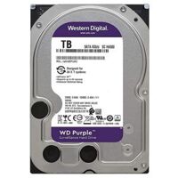 WD Purple 10TB 7200RPM 256MB