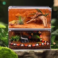 Wdfqw Lizard Terrarium Habitat Ngăn chặn thoát khỏi Hộp ấp trứng bò sát Trang chủ