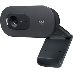 Webcam Logitech C505 HD 720P