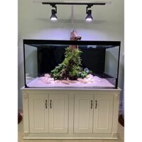 WEEK - Đèn LED Rọi Week Y30 Màu WRG Full Quang Phổ Cho Bể Bán Cạn, Bể Thuỷ Sinh