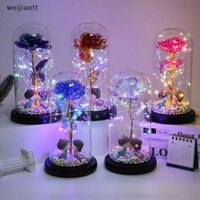 [Weijiaott] Vỏ thủy tinh hoa hồng lá vàng Hoa vĩnh cửu Ngày lễ tình nhân Trang trí quà tặng sáng tạo VN