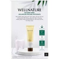 WELLNATURE Procare Toothpaste (Kem Đánh Răng WELLNATURE Procare) - chính hãng Hàn Quốc - 200g