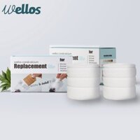 Wellos Korea Replacement Water Filter 2Pcs  Kitchen Purifier Cobra Jabara