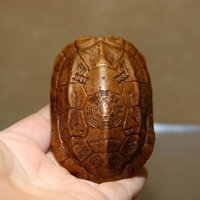 Wenwan Bột Giấy Copperware Rùa Vỏ Rùa Rùa Wenwan Tay Cầm Mảnh Fujia Yifang Cỏ Rùa Sáu Yaos Đĩa Chơi Lắc Gua 2-11-17