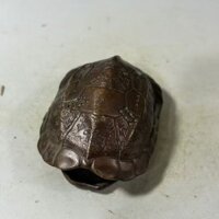 Wenwan Cổ Cổ Rùa Vỏ Fujia Thế Giới Bột Giấy Rùa Vỏ Tay Cầm Sáu Yao Đồ Trang Trí Đĩa Chơi Lắc Gua Chơi Phụ Kiện 3-8-10