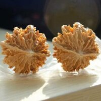 Wenwan Quả óc chó hoang dã Quả óc chó Chơi mảnh Dây sâu với gai Cà vạt tay Tập thể dục Quả óc chó Sâu trong suốt Đế bột Đèn lồng