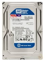 Ổ cứng HDD Western WD Caviar Blue 320GB/ SATA 3/ 7200rpm/Cache 16MB