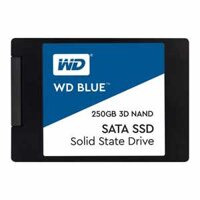 Western Digital Blue 3D NAND 250GB SSD – SATA III