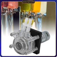 Westvirginia058 Bơm nhu động Động cơ DC 3000mL/phút Dòng chảy cao DC24V 1A Chống ăn mòn tự mồi cho máy chiết rót đồ uống