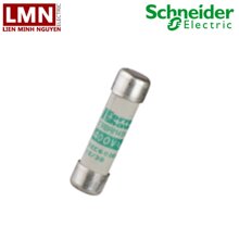 Cầu chì bảo vệ DF2CA06 Schneider
