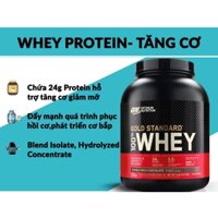 [Whey Gold] 500gam Sữa Tăng Cơ Whey Protein Gold Standard
