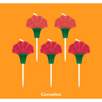 [Wiggle Wiggle] TAY HẠNH PHÚC - Hoa cẩm chướng