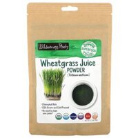 Wilderness Poets LLC Organic Wheatgrass Juice Powder 3.5 oz (99 g)