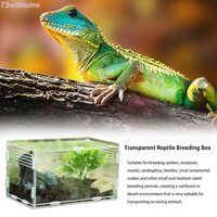 Willisme Hatching Terrariums Bò Sát Thoáng Khí Hộp Đựng Thằn Lằn Ếch Côn Trùng Tiếp Liệu