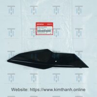 Win21-Ốp đèn đen bóng (NH1) L