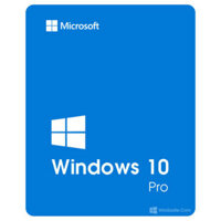 Windows 10 Pro (Home/Edu)