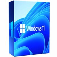 Windows 11 Pro bản quyền vĩnh viễn