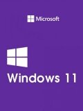 Windows 11 Professional + MS Office Professional Plus 2021